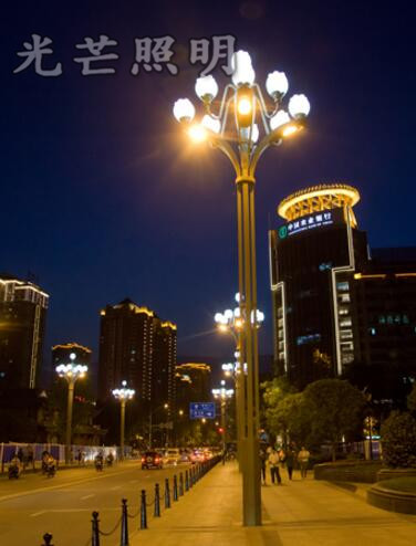 陜西路燈定制